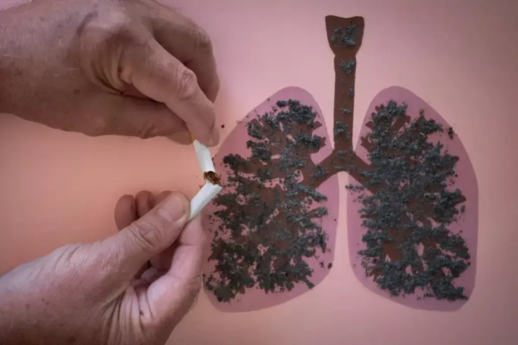 Model of human lungs showing a comparison: a dark, damaged left lung labeled 'Vaping Damaged Lung' and a pink, healthy right lung with heart and trachea in between.